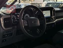 فۆرد F-150